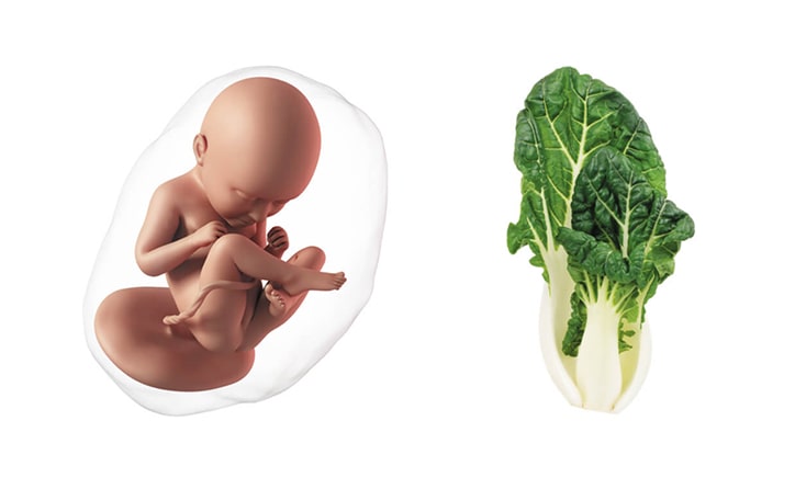 Thirty-seventh-week-of-pregnancy-5