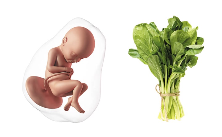 Thirty-eighth-week-of-pregnancy-4