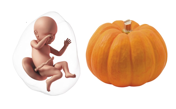 Thirty-ninth-week-of-pregnancy-5