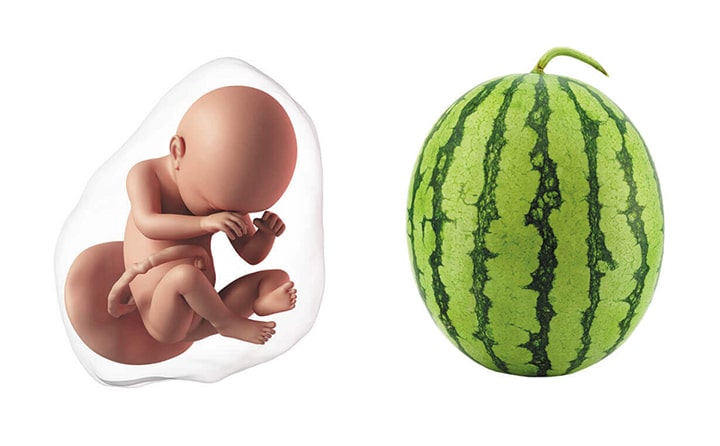 Fortieth-week-of-pregnancy-5