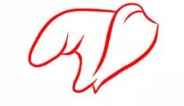 dumbo-drawing-2