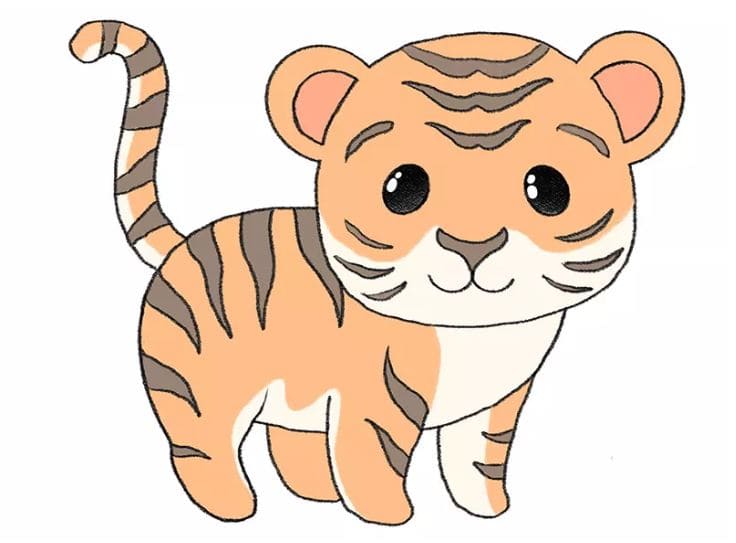 tiger-drawing-10