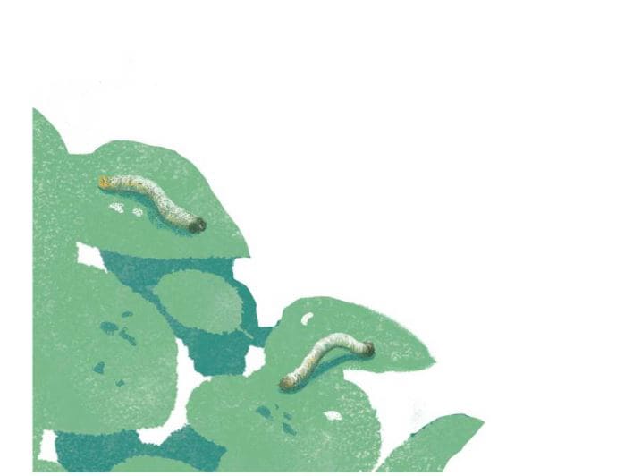 emily-and-worms-story-11