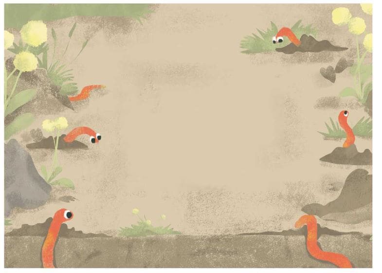 emily-and-worms-story-13
