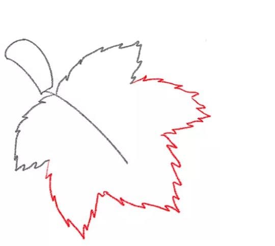 grapes-drawing-4