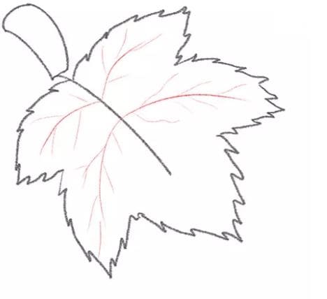 grapes-drawing-5