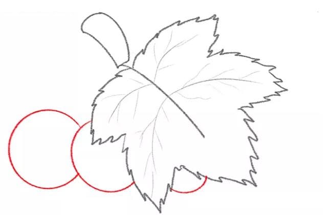 grapes-drawing-6