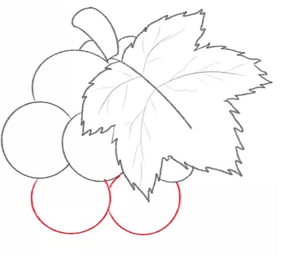 grapes-drawing-8