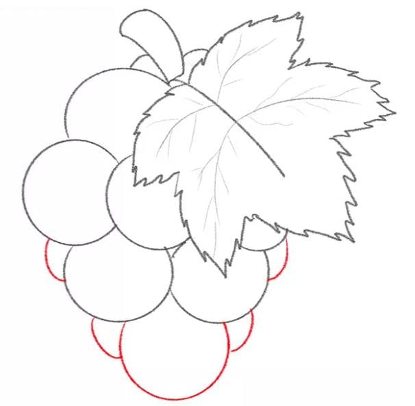 grapes-drawing-9