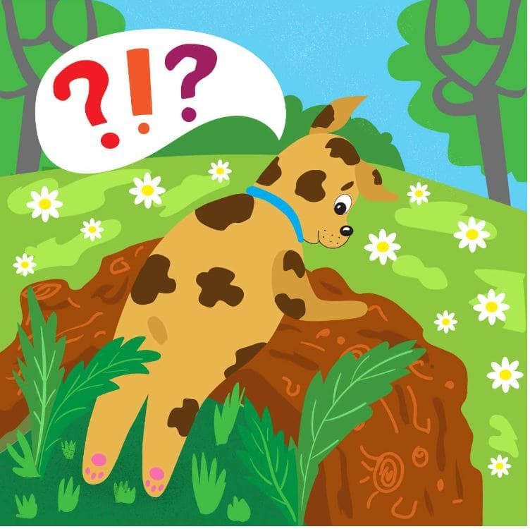 the-spotty-dog-story-8