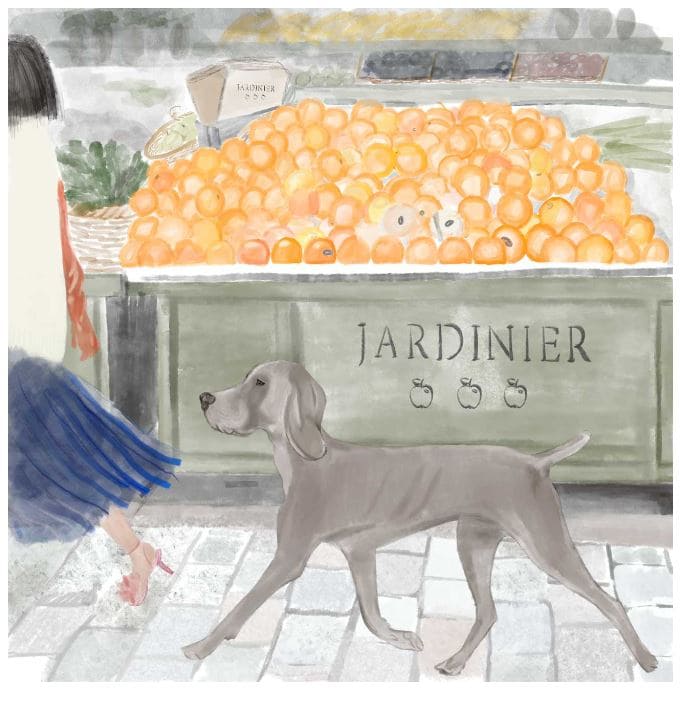 a-puppy-lost-in-paris-story-10
