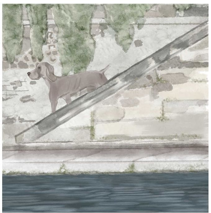 a-puppy-lost-in-paris-story-14