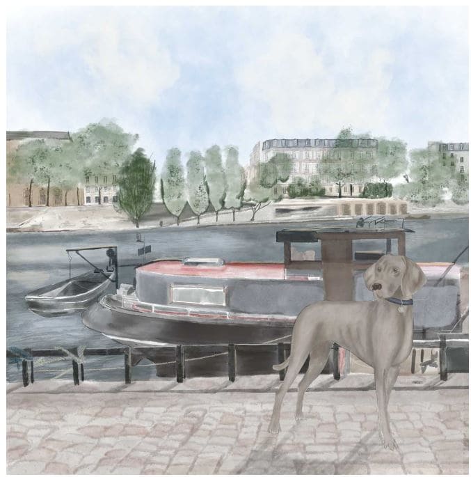 a-puppy-lost-in-paris-story-15