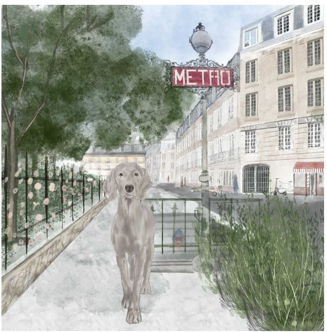 a-puppy-lost-in-paris-story-18
