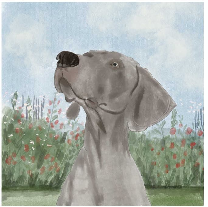 a-puppy-lost-in-paris-story-19
