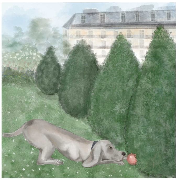 a-puppy-lost-in-paris-story-3