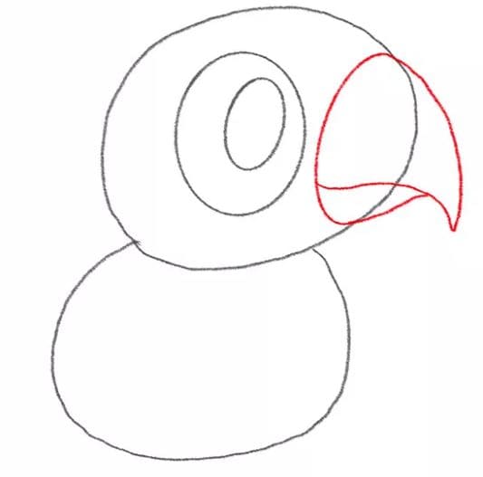 parrot-drawing-4