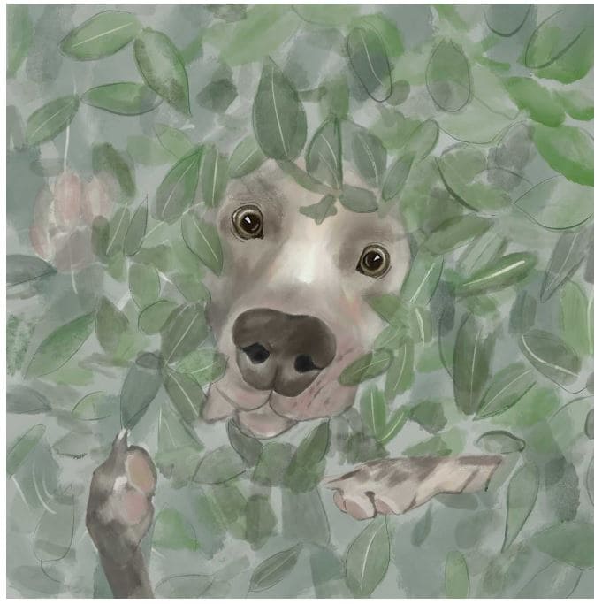 a-puppy-lost-in-paris-story-5