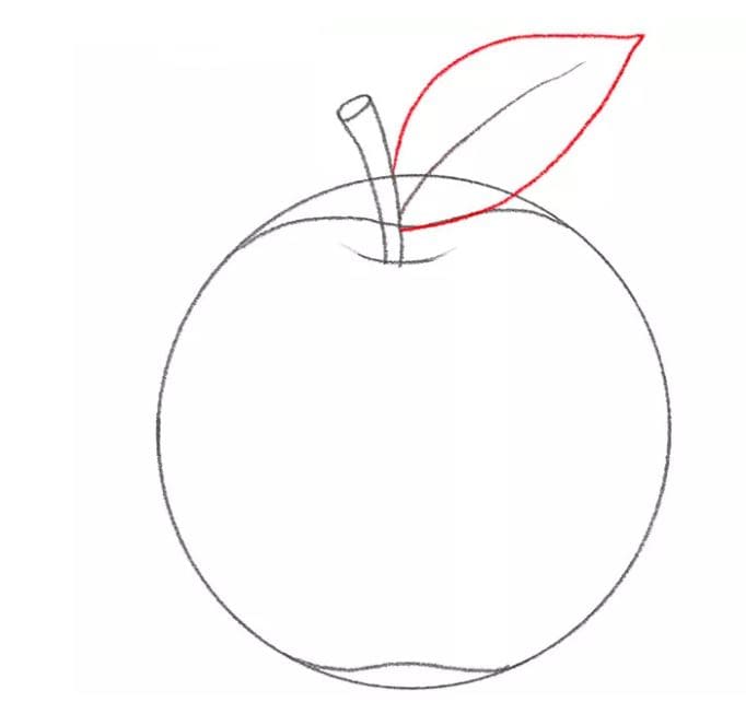 apple-drawing-8
