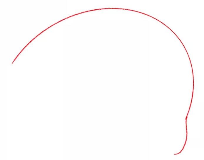 dolphin-drawing-2