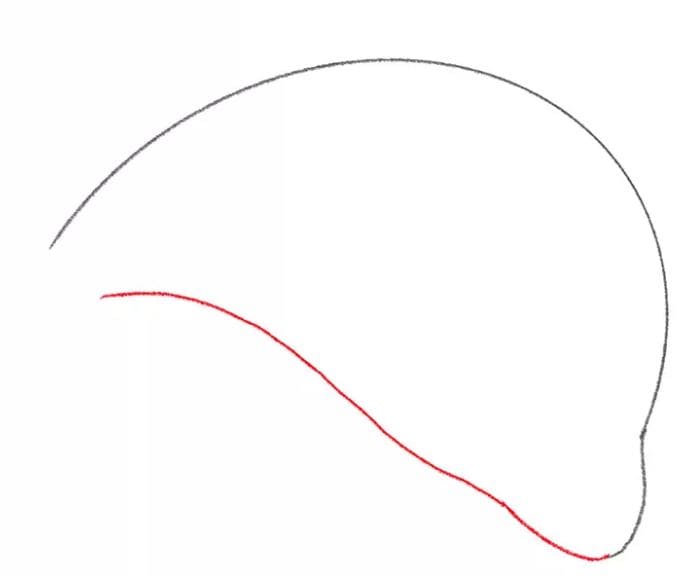 dolphin-drawing-3