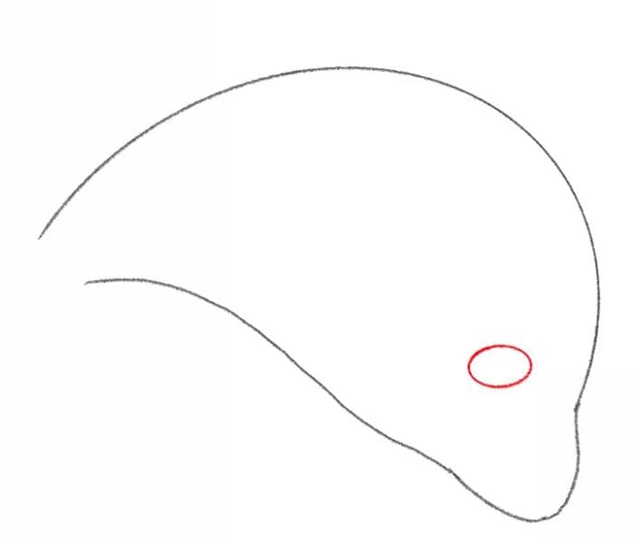 dolphin-drawing-4