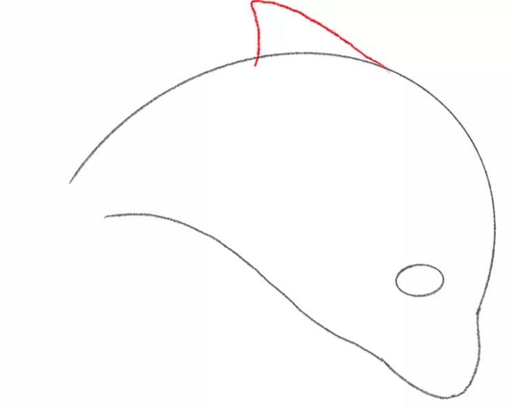 dolphin-drawing-5