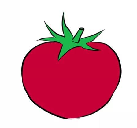 tomato-drawing-4