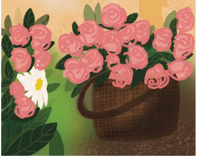 the-bee-and-the-rose-story-13