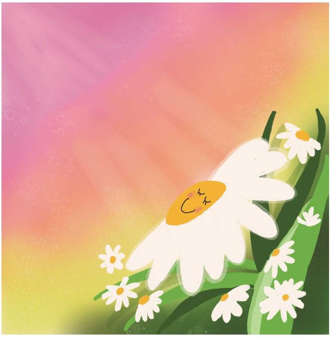 the-bee-and-the-rose-story-20