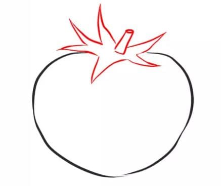 tomato-drawing-3