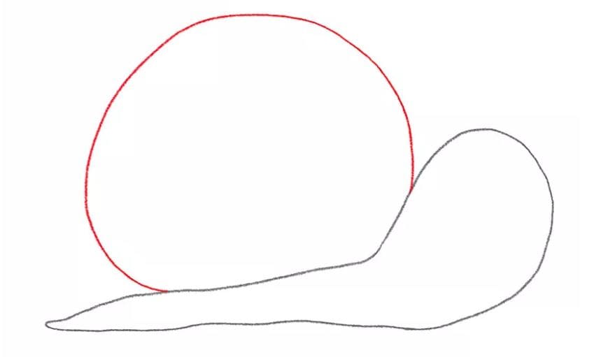 snail-drawing-4