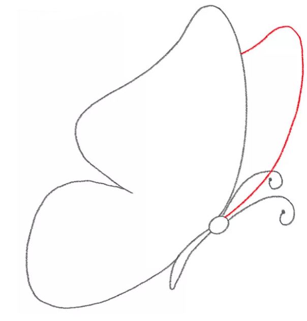 butterfly-drawing-6