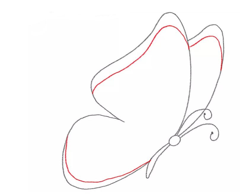 butterfly-drawing-7