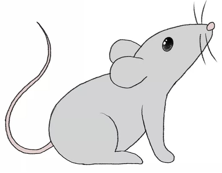mouse-drawing-10
