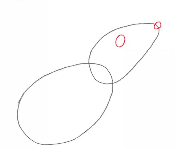 mouse-drawing-3