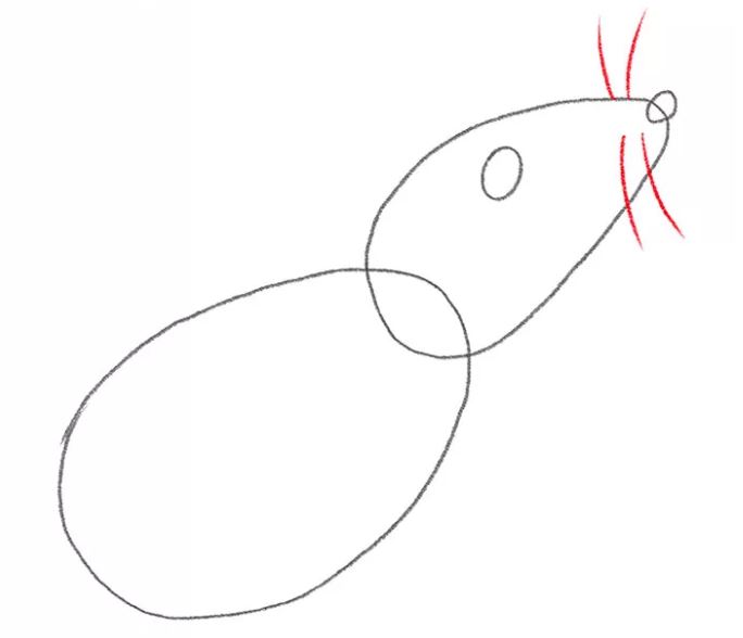 mouse-drawing-4