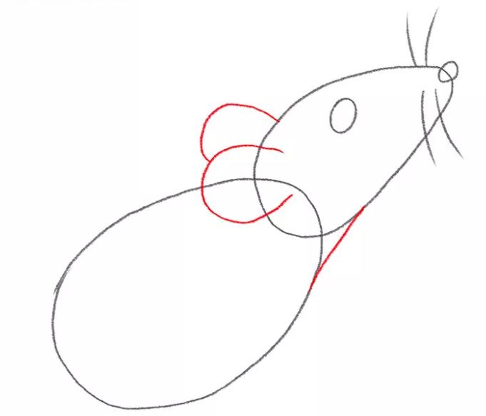 mouse-drawing-5