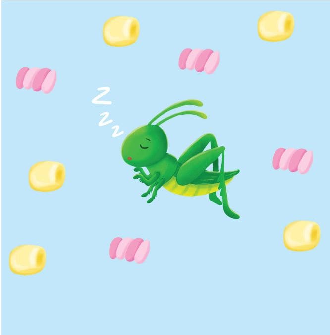 a-grasshopper-in-my-bedroom-story-10