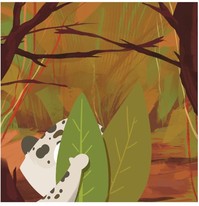 spot-my-spots-story-11