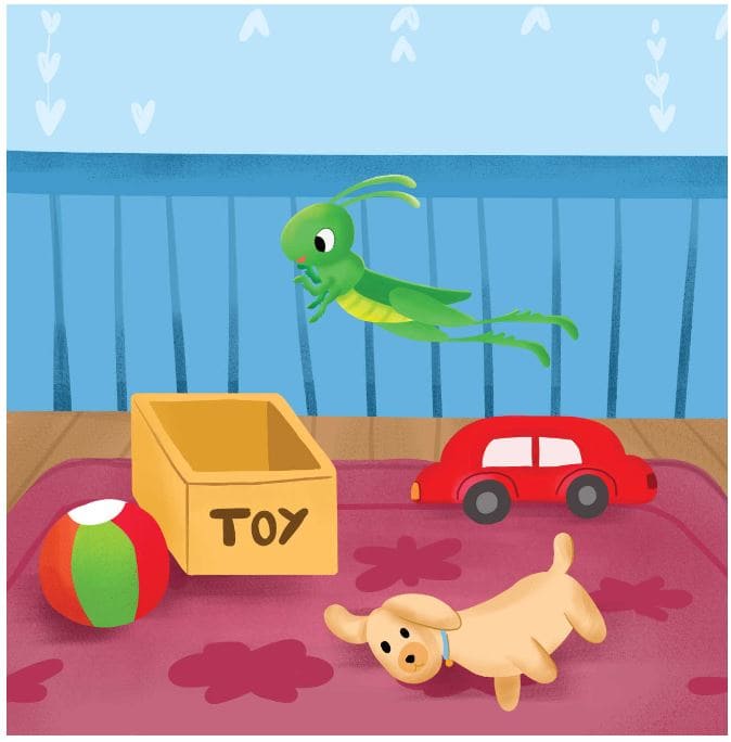 a-grasshopper-in-my-bedroom-story-12