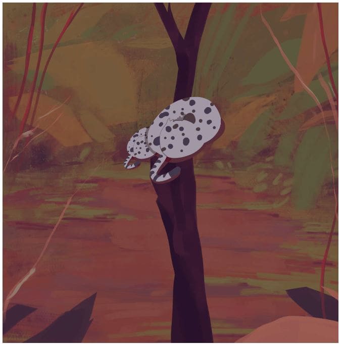 spot-my-spots-story-17