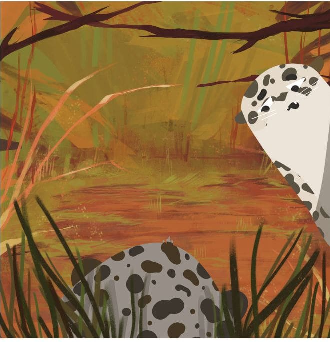 spot-my-spots-story-3