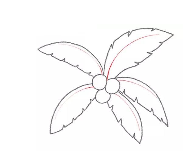 coconut-tree-drawing-5
