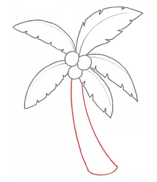 coconut-tree-drawing-6