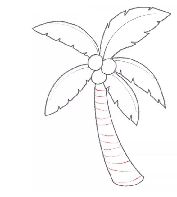 coconut-tree-drawing-7