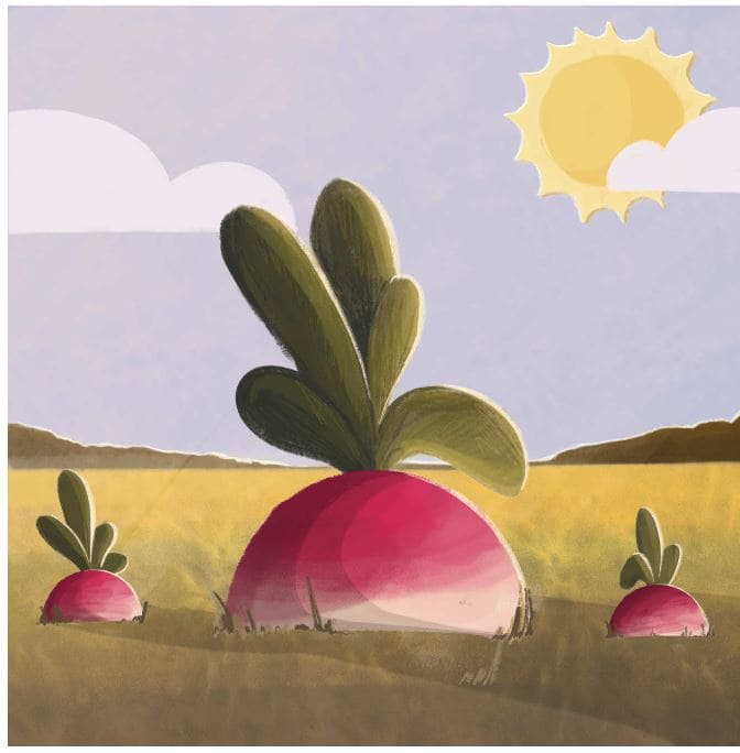 the-enormous-turnip-story-2