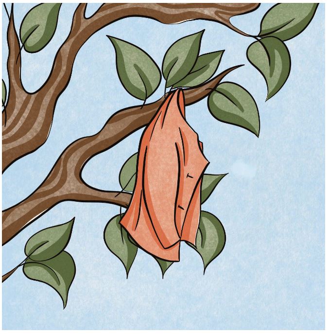 when-the-button-tree-flowers-20