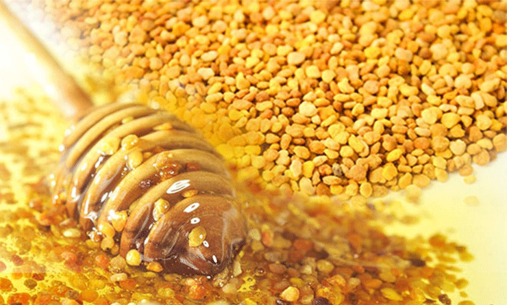 فواید و عوارض مصرف گرده زنبور عسل در دوران بارداری