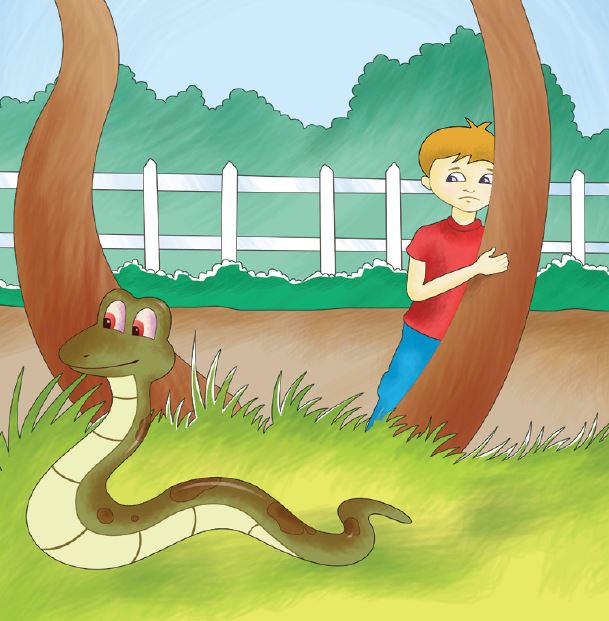 do-you-wonder-how-snakes-slither-story-2
